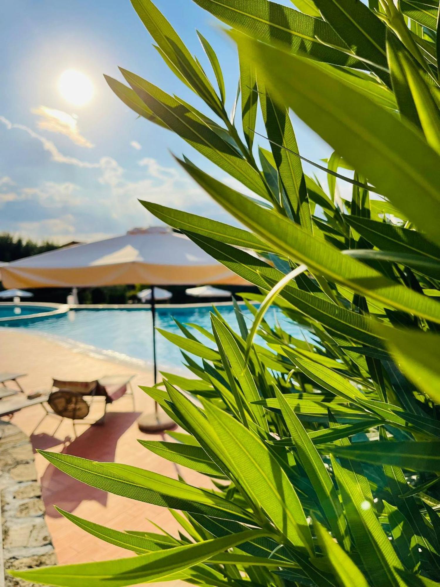Borgo Del Torchio - Gardagate Apartment Manerba del Garda Luaran gambar